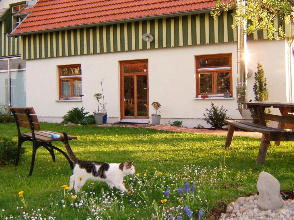 Bio Pension Kirschenfee Sontheim  Exteriér fotografie